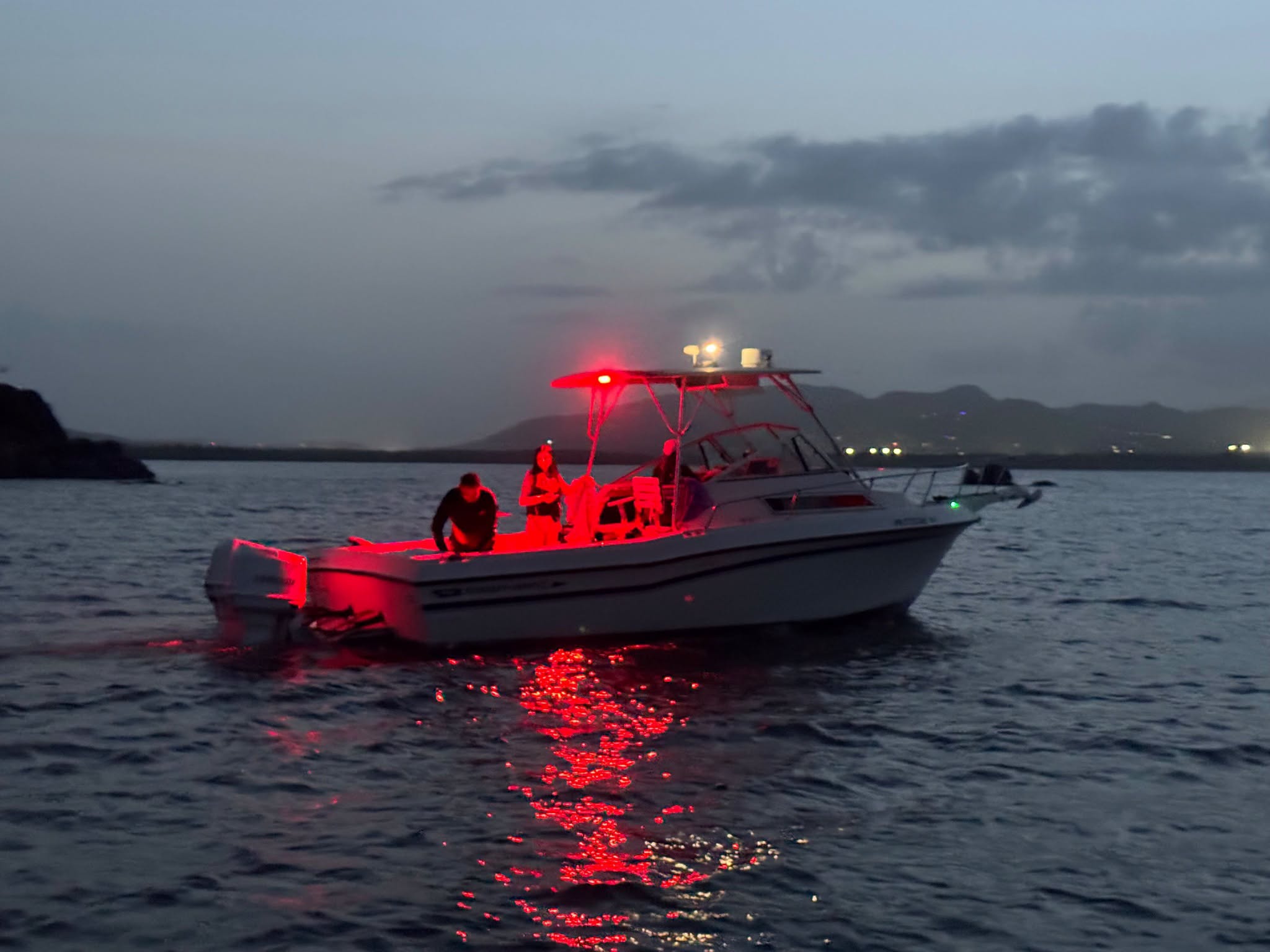All Work Marine Services
